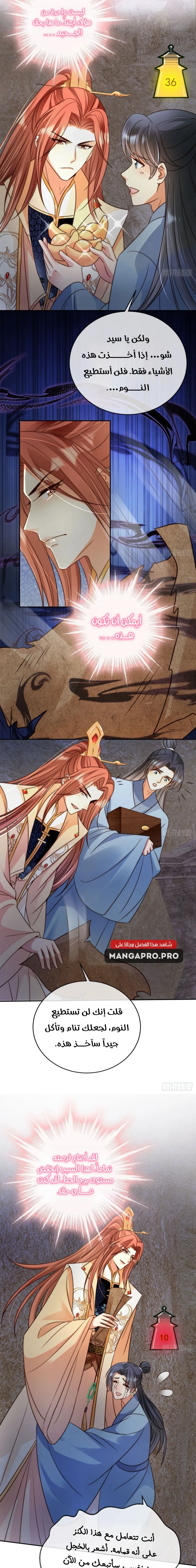 Chapter Image 3
