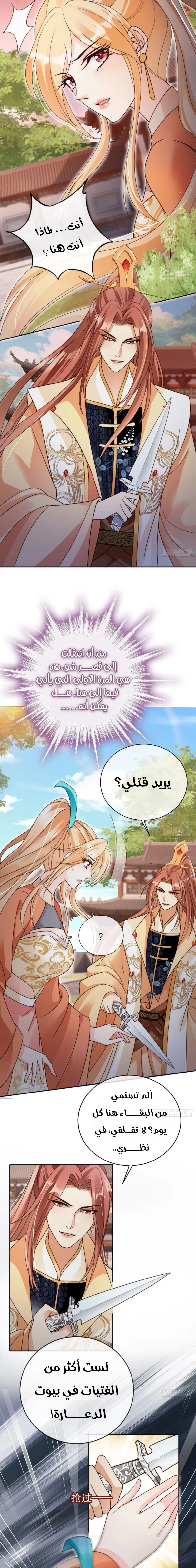 Chapter Image 13