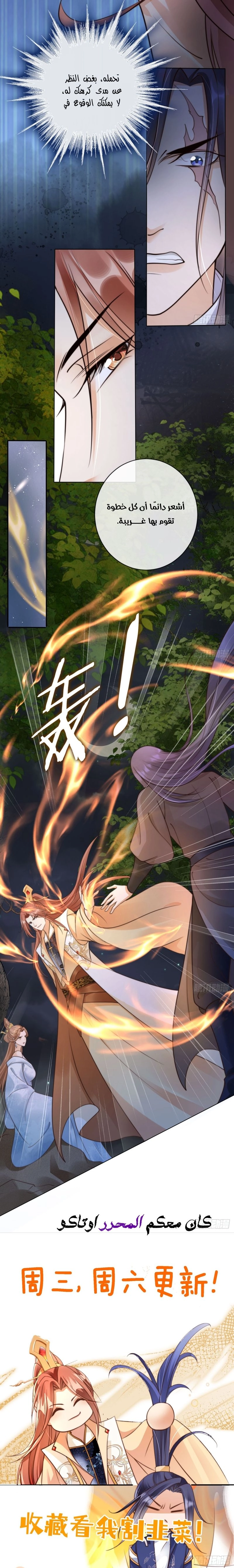 Chapter Image 8