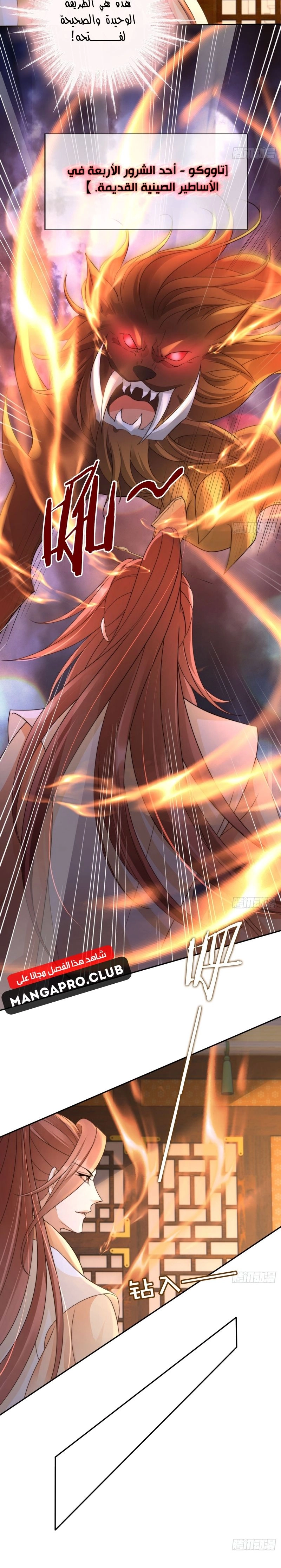 Chapter Image 4