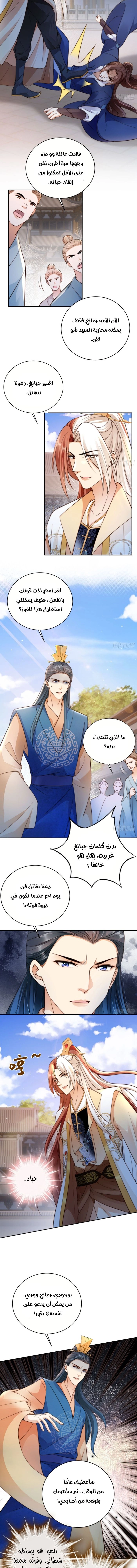 Chapter Image 4