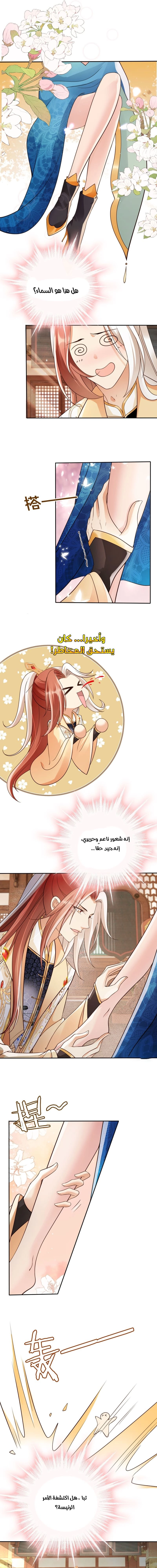 Chapter Image 3