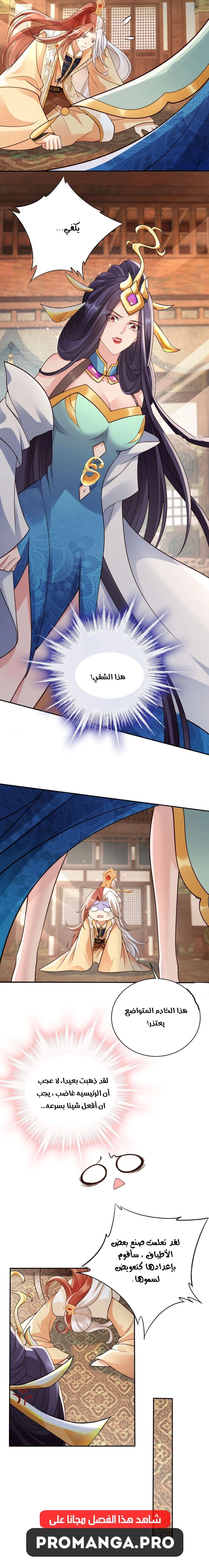 Chapter Image 4