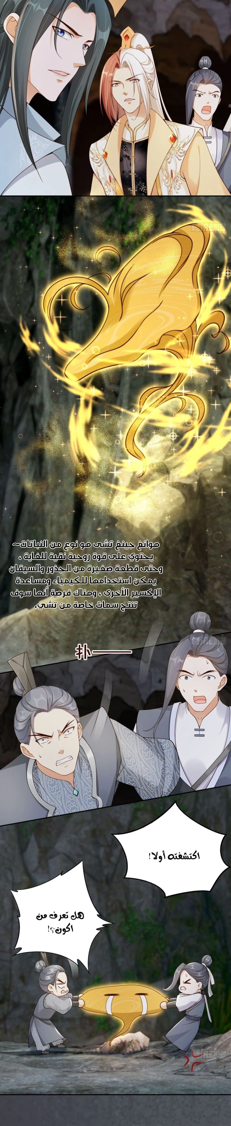 Chapter Image 2