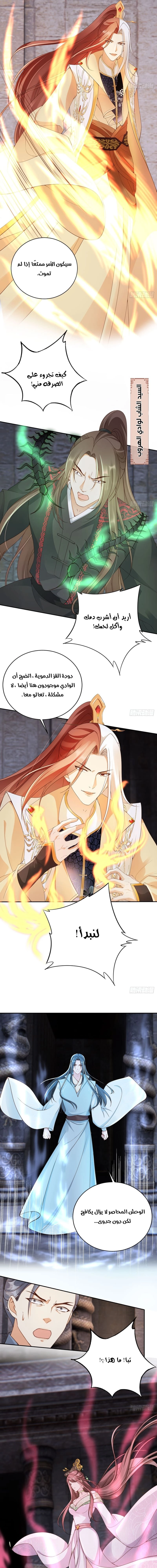 Chapter Image 3