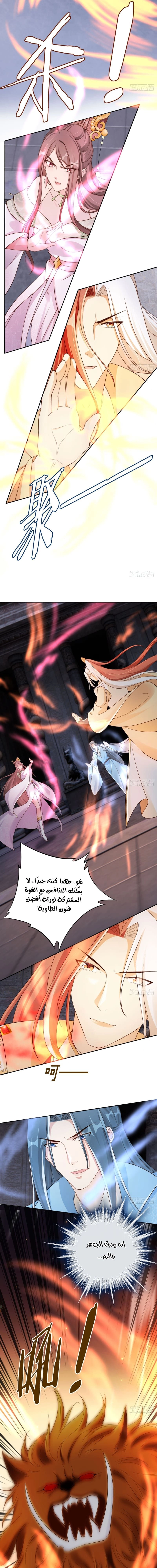 Chapter Image 7