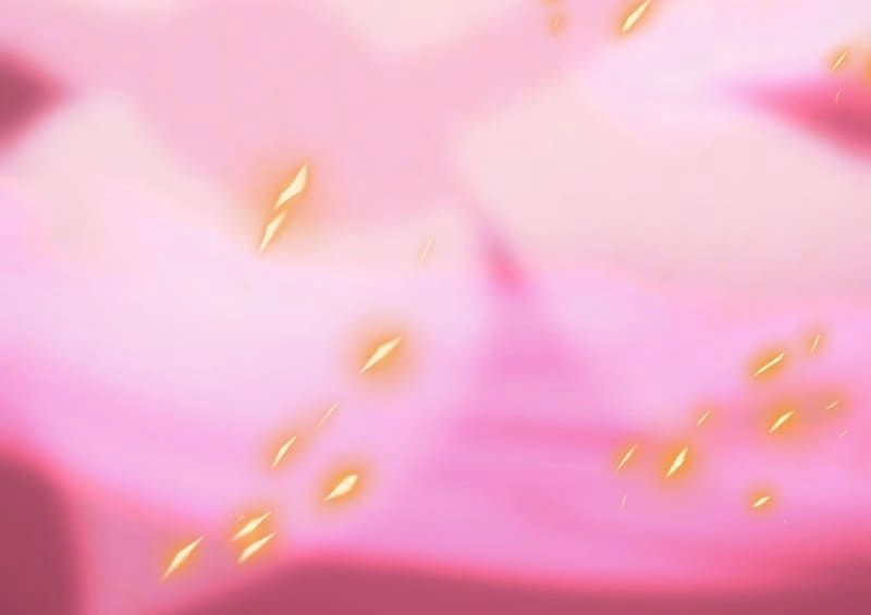 Chapter Image 2