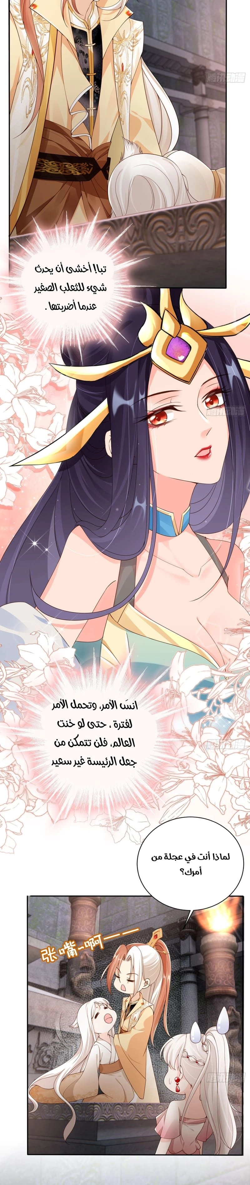 Chapter Image 5