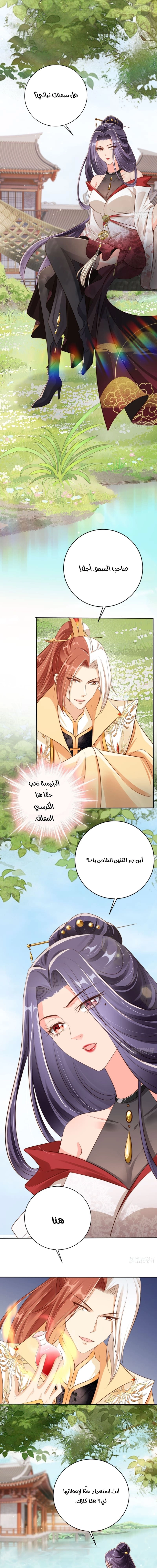 Chapter Image 9