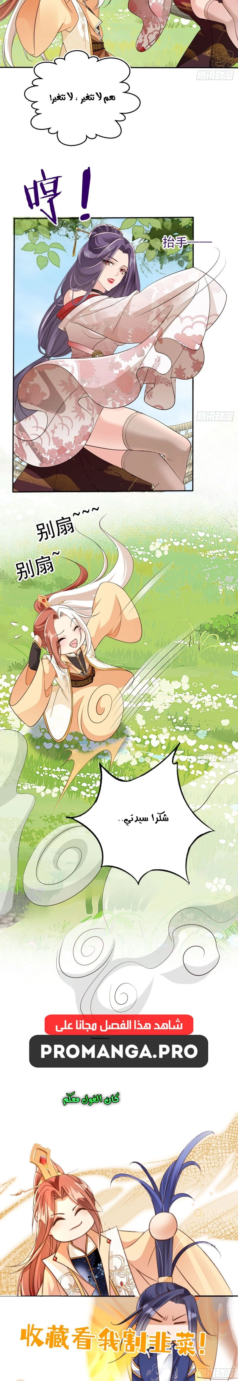 Chapter Image 11