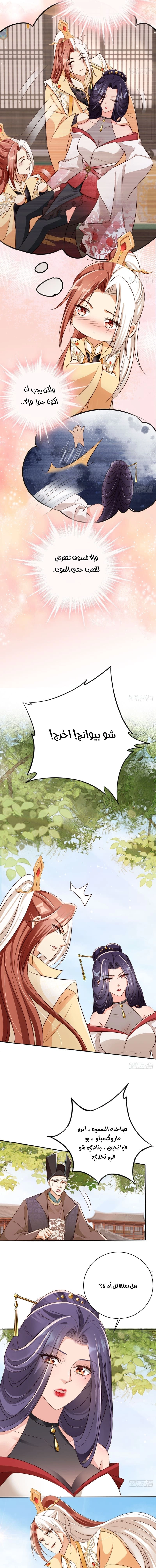 Chapter Image 3