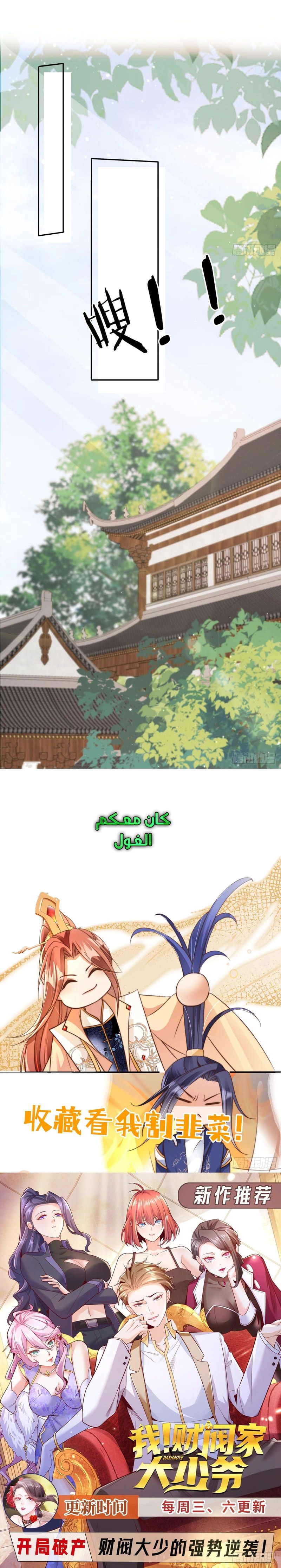 Chapter Image 11