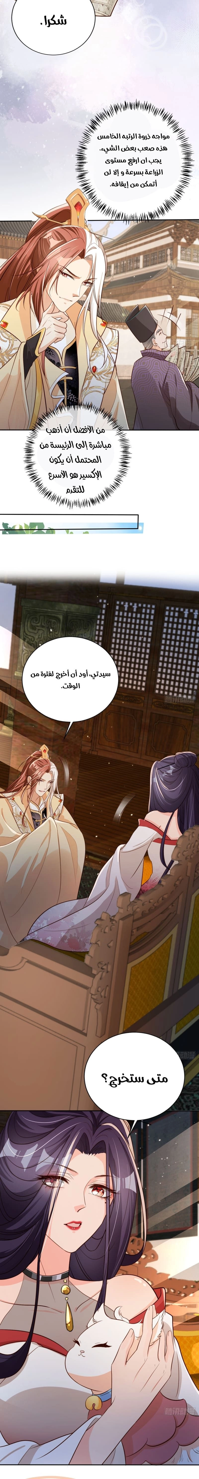 Chapter Image 4