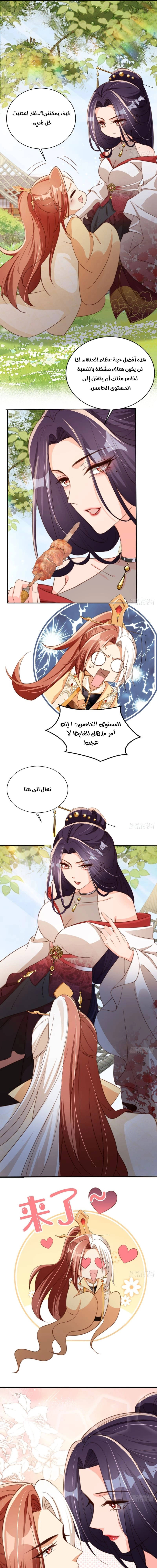 Chapter Image 3