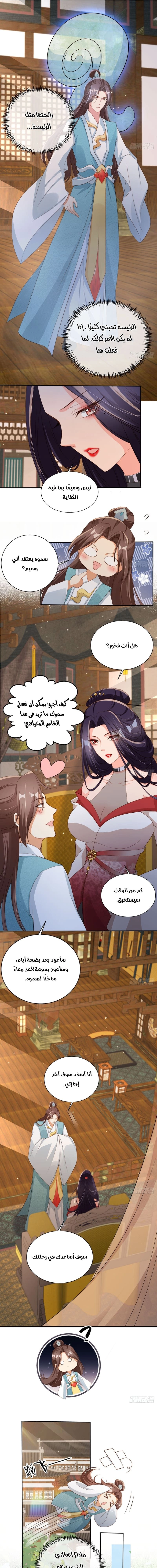 Chapter Image 3