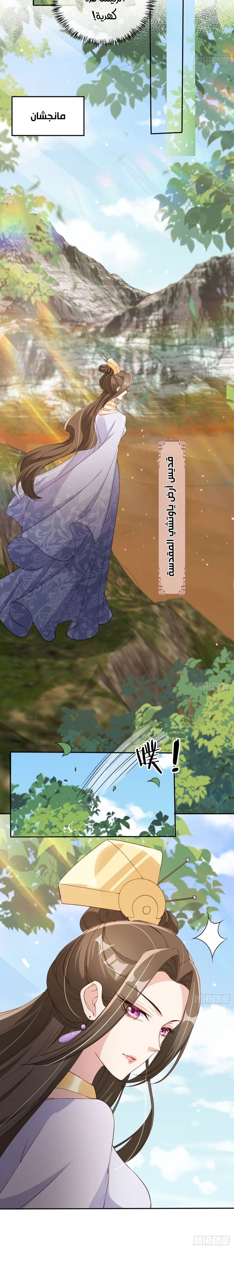 Chapter Image 4