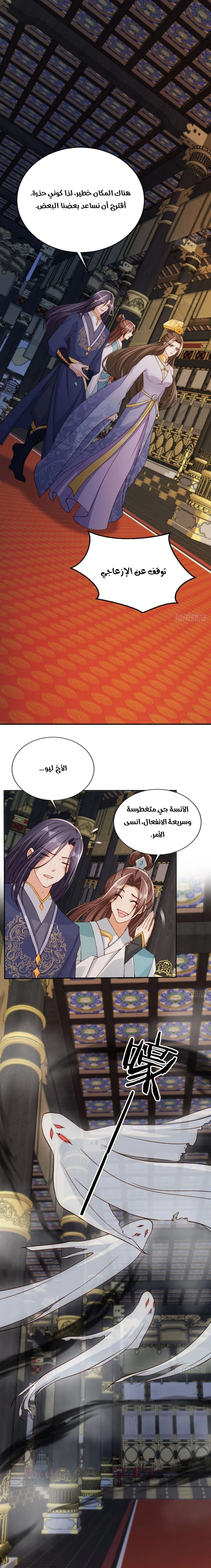 Chapter Image 2