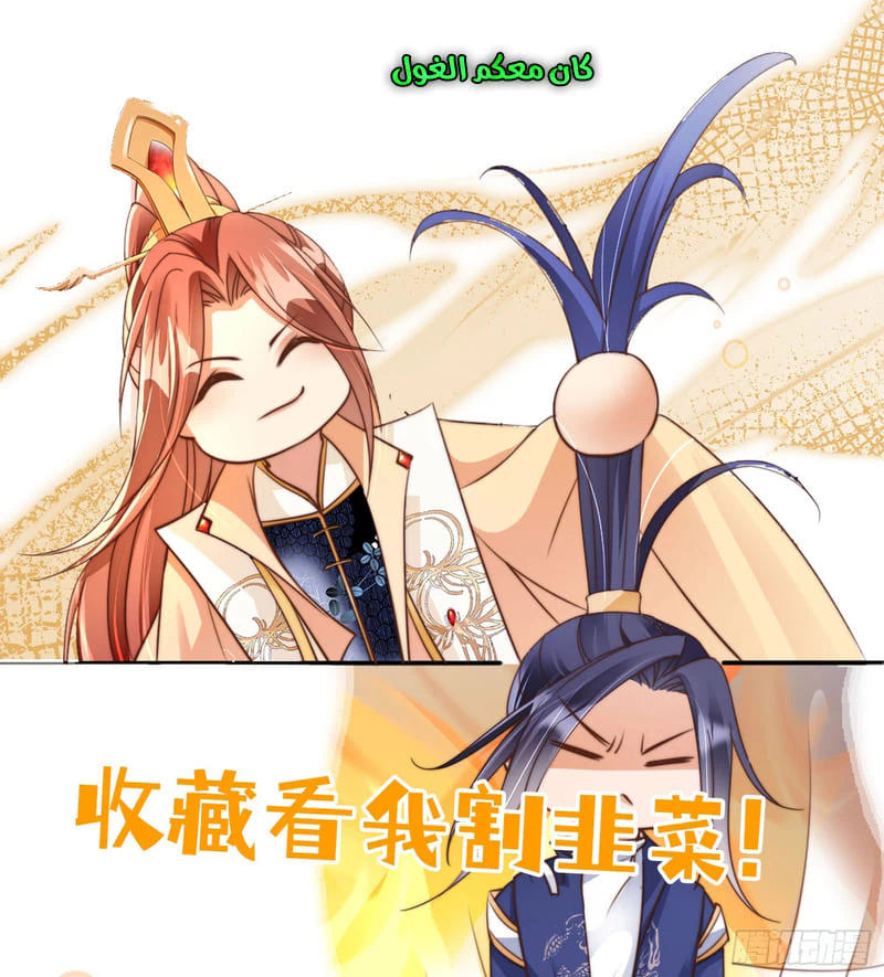 Chapter Image 11