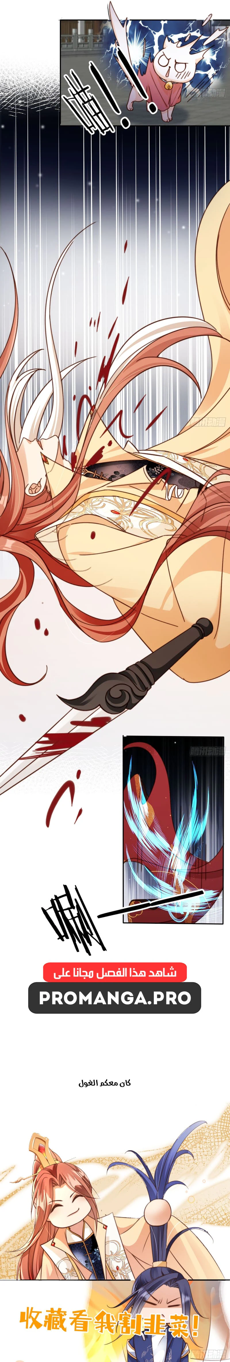 Chapter Image 9