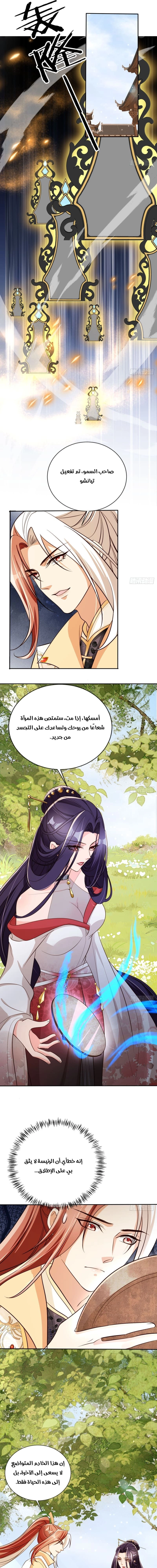 Chapter Image 9