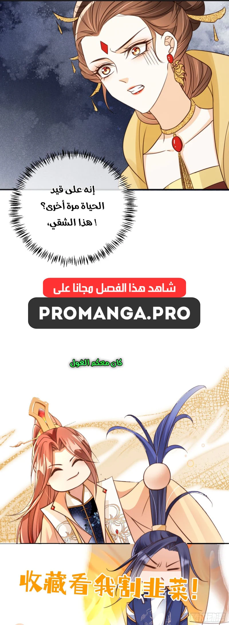 Chapter Image 9