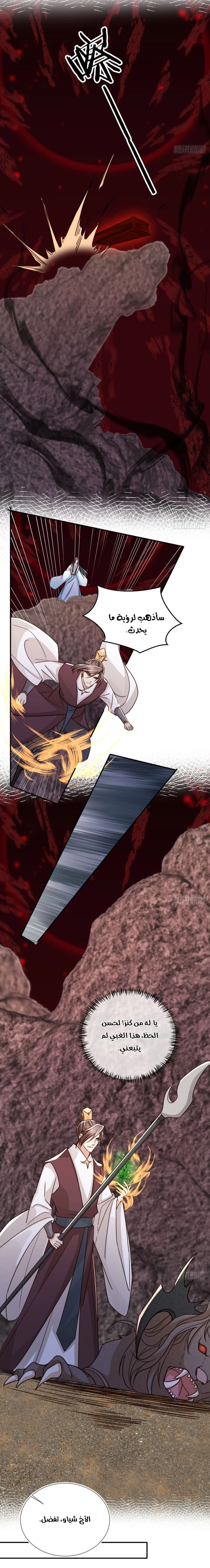 Chapter Image 8