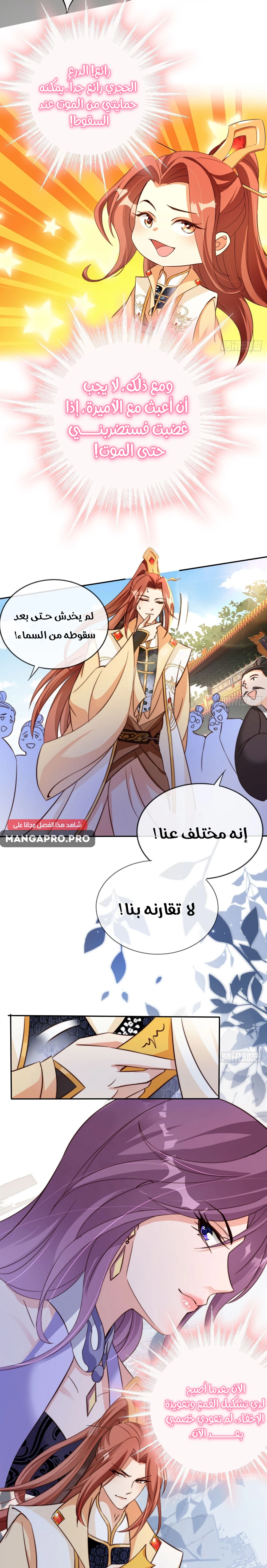 Chapter Image 7