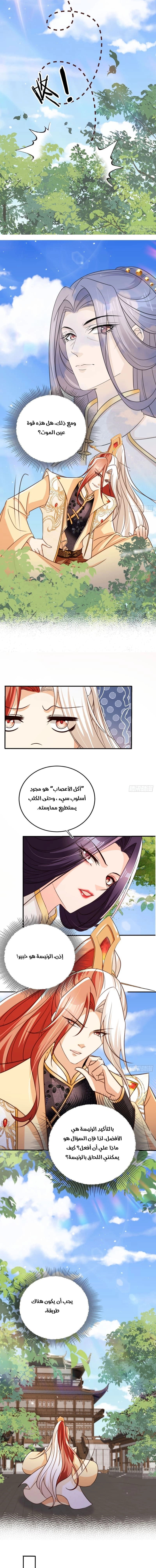 Chapter Image 3