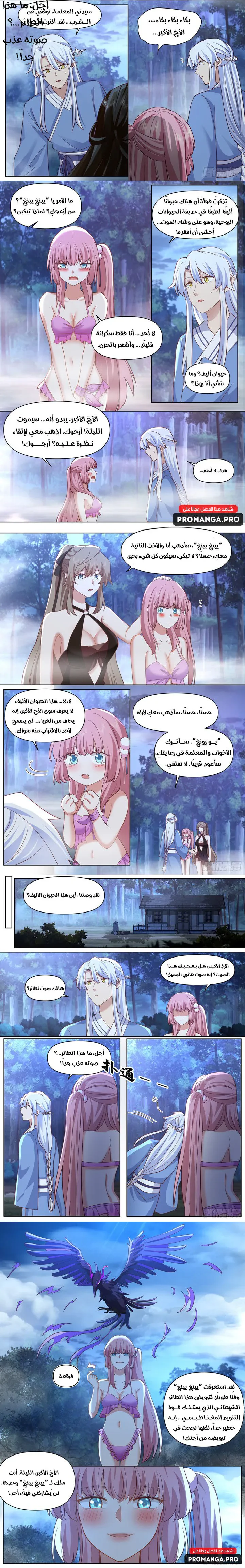 Chapter Image 3