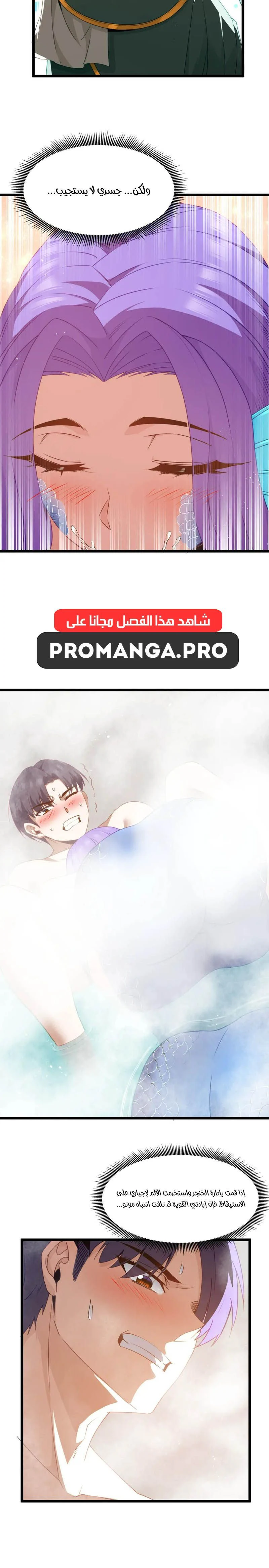 Chapter Image 12