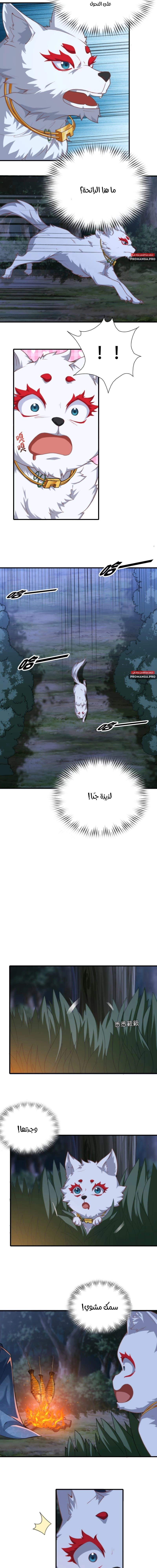 Chapter Image 3