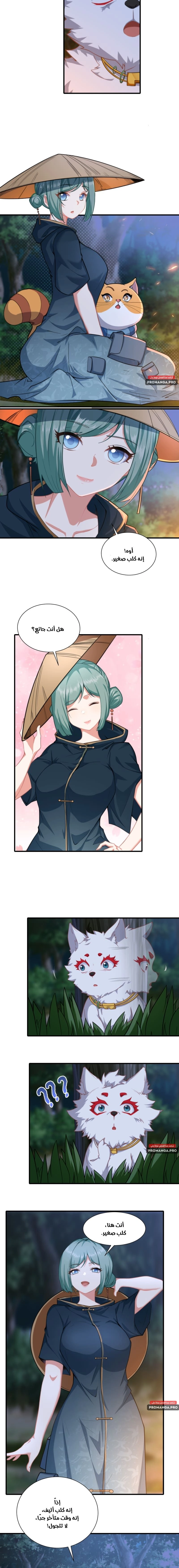 Chapter Image 4