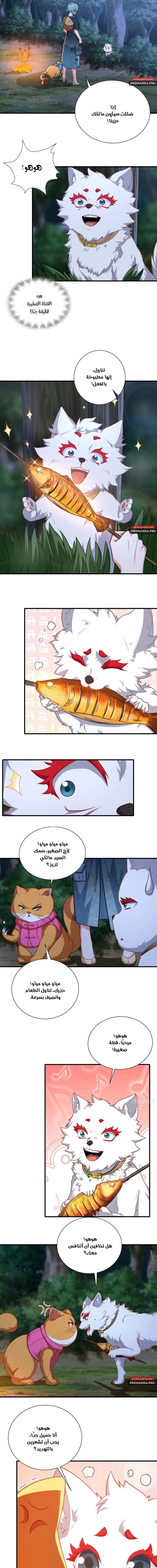 Chapter Image 5