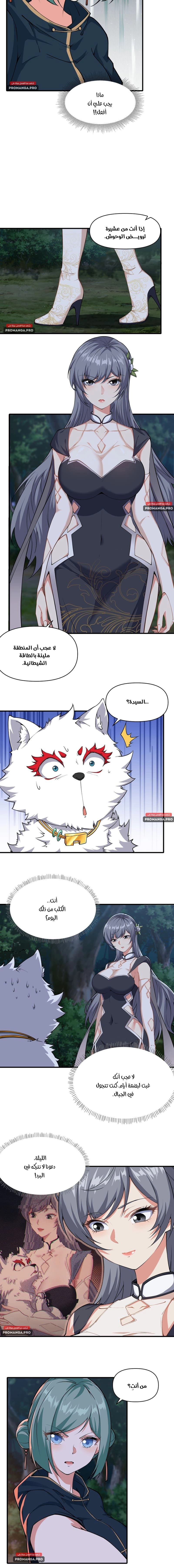 Chapter Image 4