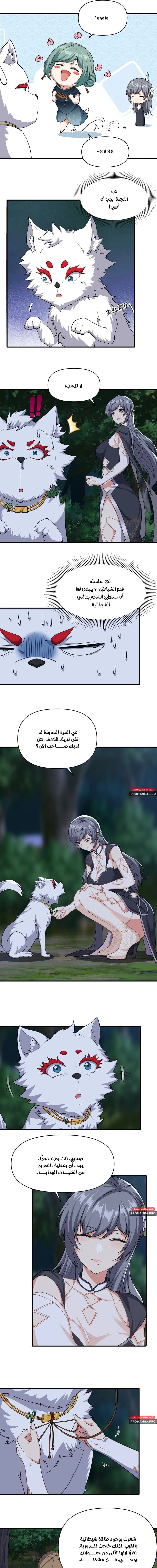Chapter Image 7