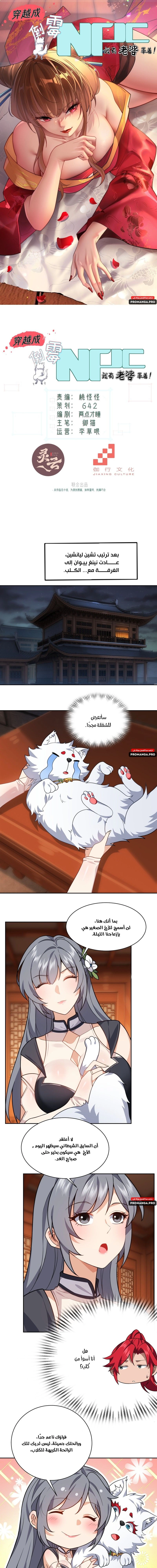 Chapter Image 1