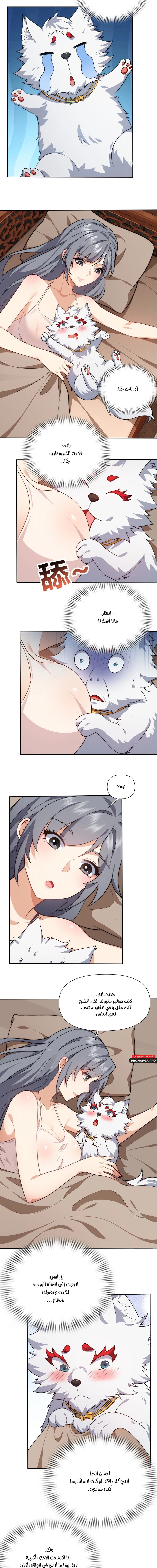 Chapter Image 3