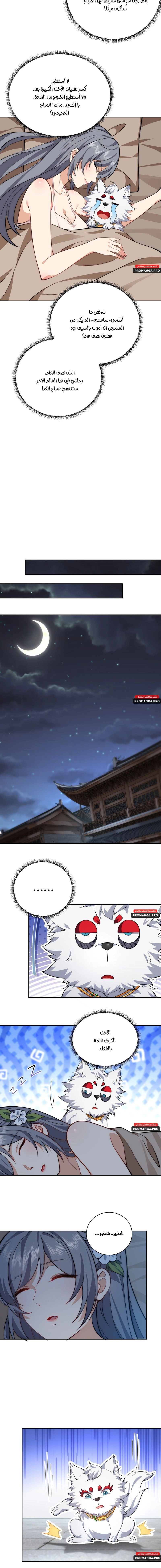 Chapter Image 6