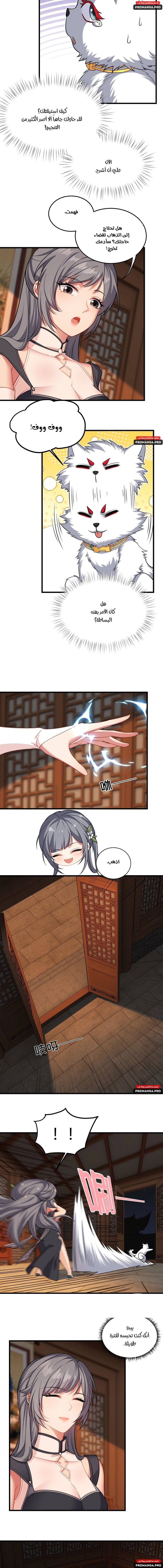 Chapter Image 2