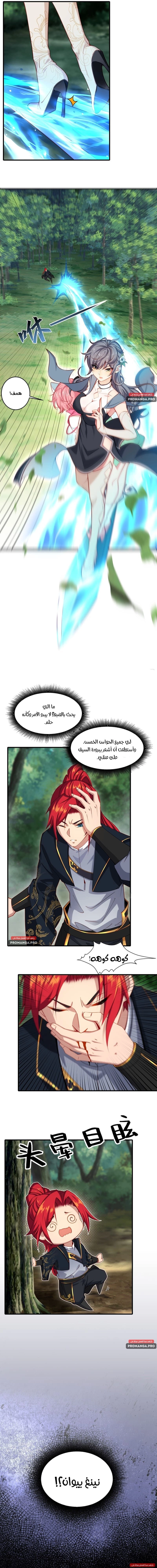 Chapter Image 5
