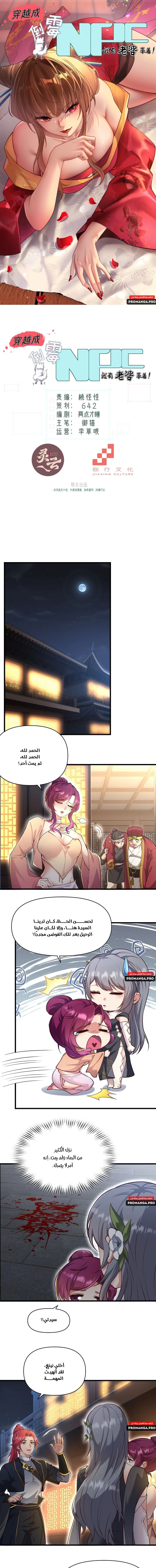 Chapter Image 1