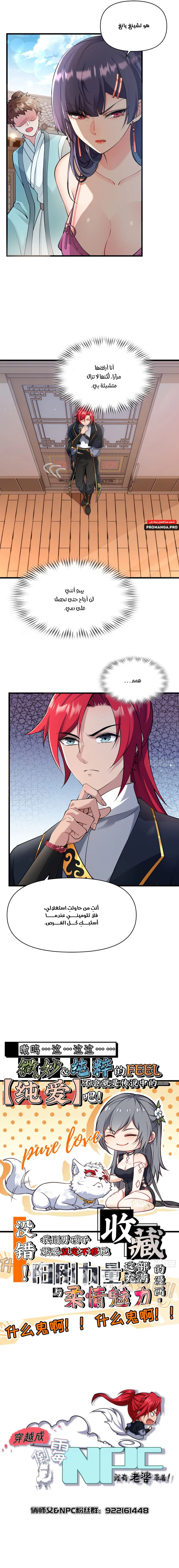 Chapter Image 11