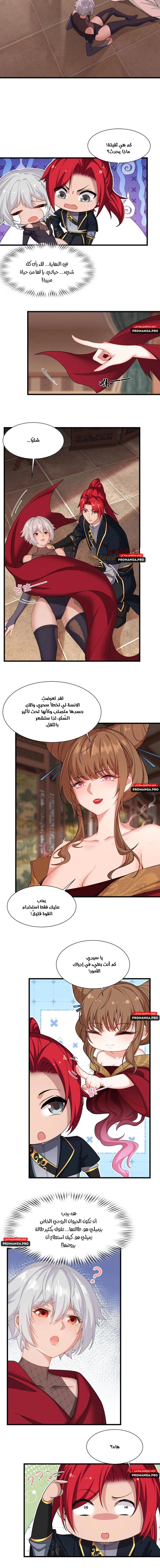 Chapter Image 4