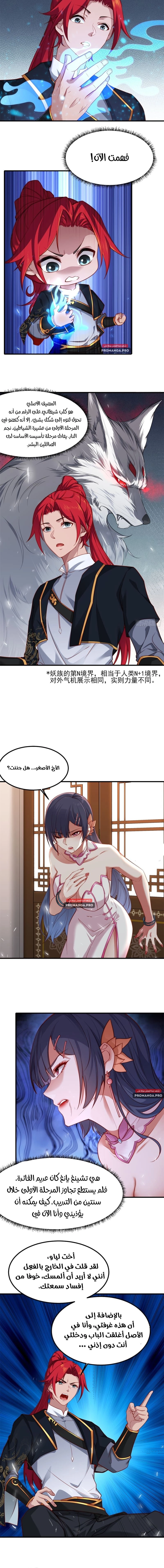 Chapter Image 4
