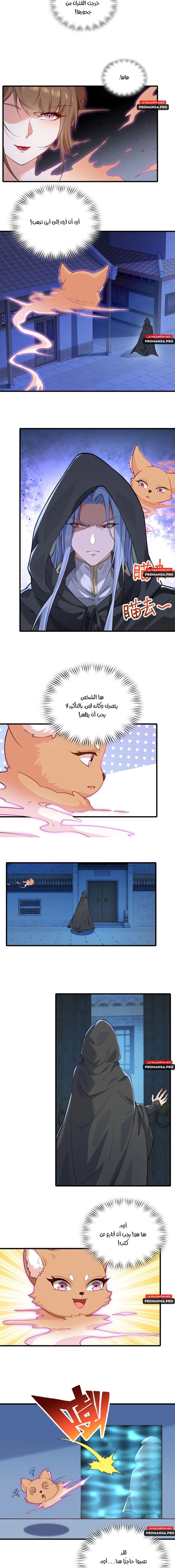 Chapter Image 4