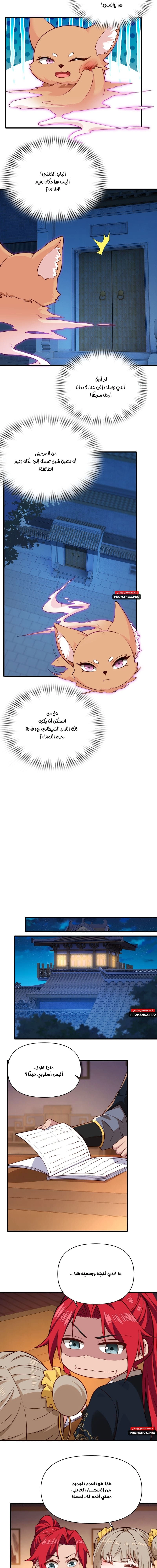 Chapter Image 5