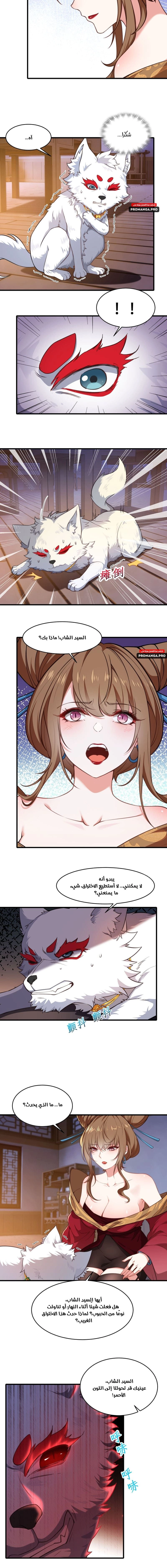 Chapter Image 2