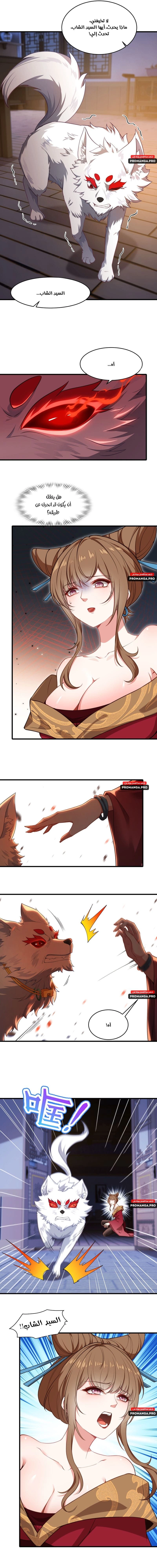 Chapter Image 3