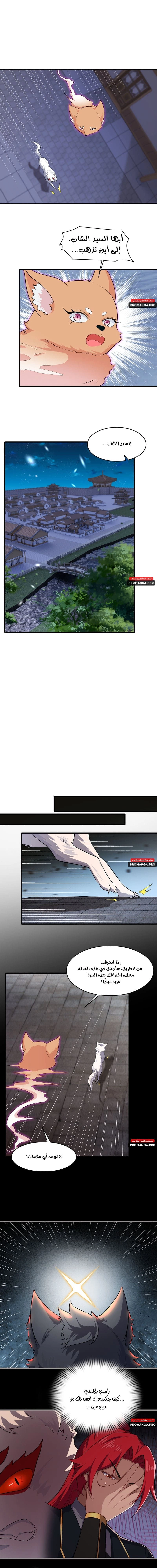 Chapter Image 4