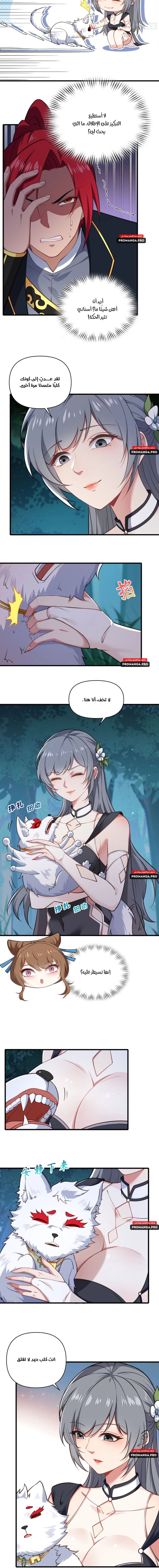 Chapter Image 6